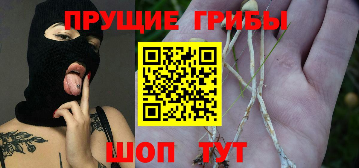 Галлюциногенные грибы GOLDEN TEACHER  Вход с VPN  Лянтор 